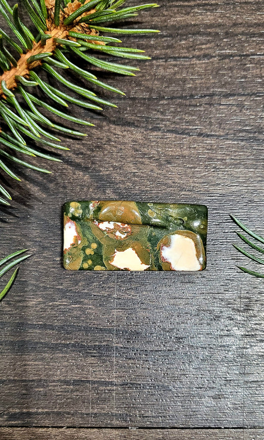 Rainforest Jasper Slab